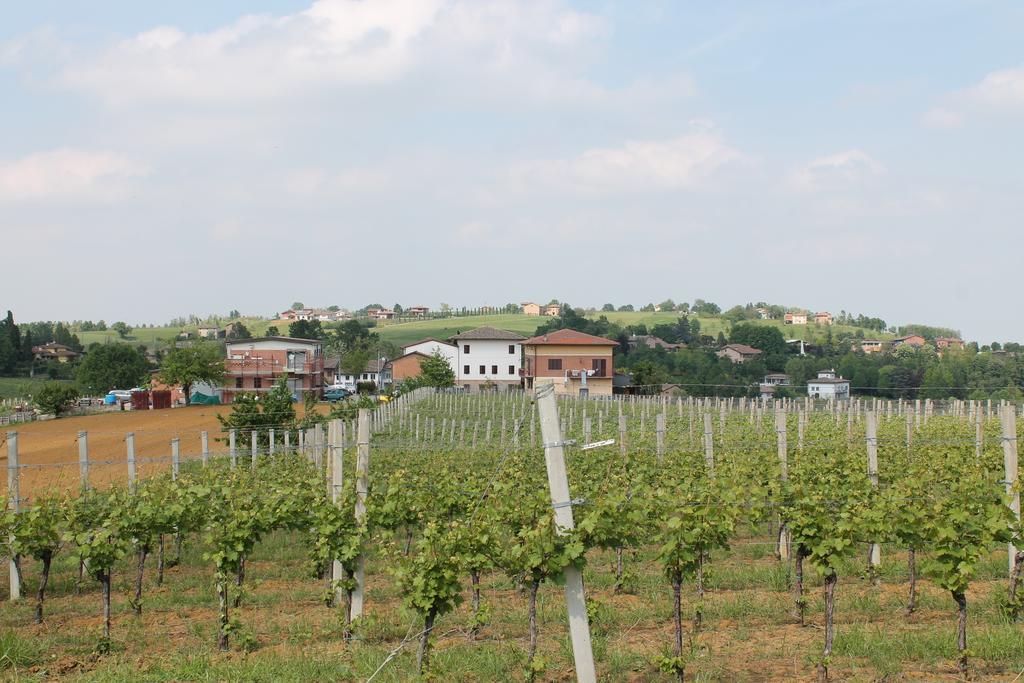 Agriturismo Le Casette Castelvetro di Modena Exterior foto