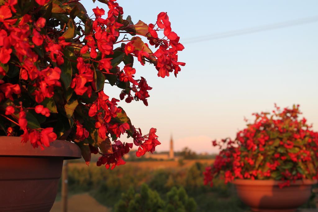 Agriturismo Le Casette Castelvetro di Modena Exterior foto
