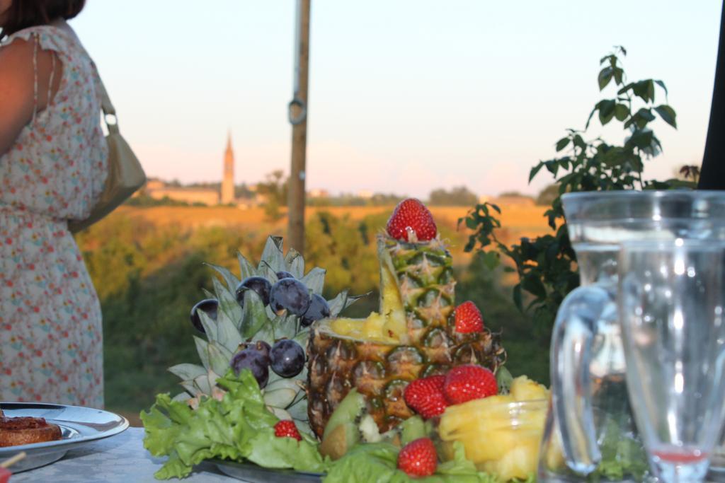 Agriturismo Le Casette Castelvetro di Modena Exterior foto